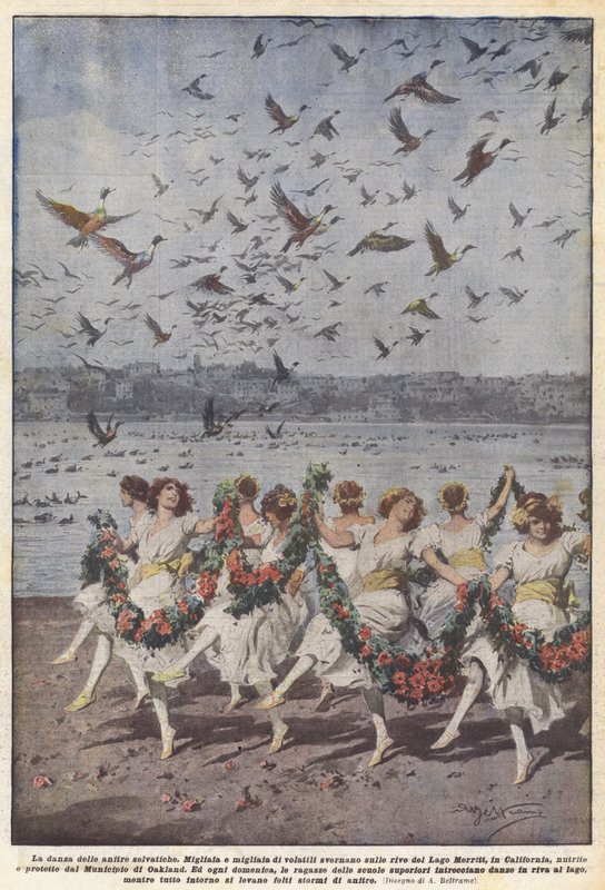 Vildændernes dans af Achille Beltrame