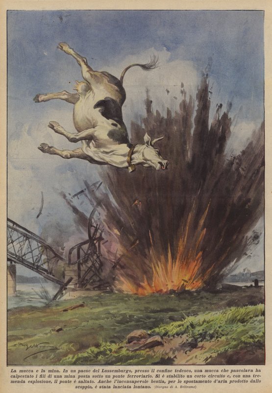 Koen og minen af Achille Beltrame