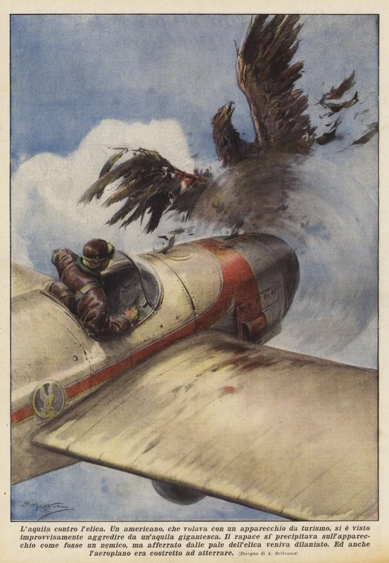 Ørnen mod propellen af Achille Beltrame
