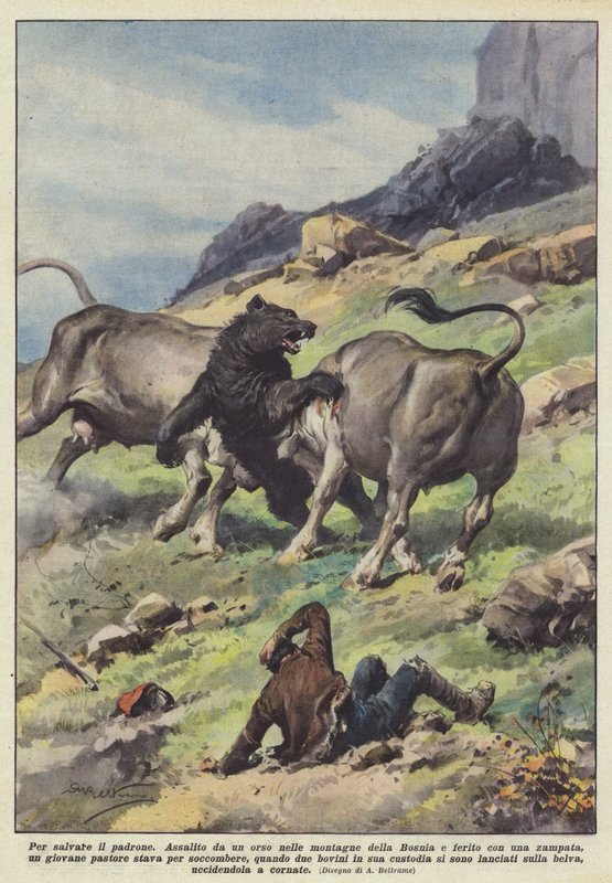For at redde mesteren af Achille Beltrame