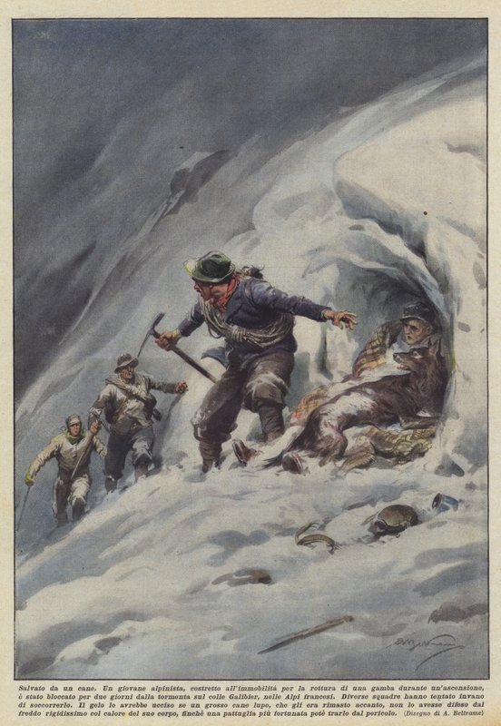 Reddet af en hund af Achille Beltrame