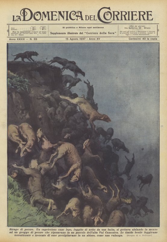 Fåreslagtning af Achille Beltrame