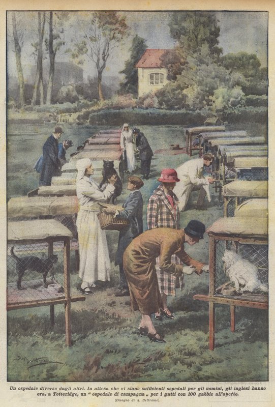 Et hospital, der ikke ligner noget andet af Achille Beltrame