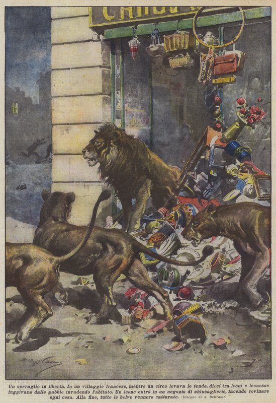Et menageri på fri fod af Achille Beltrame