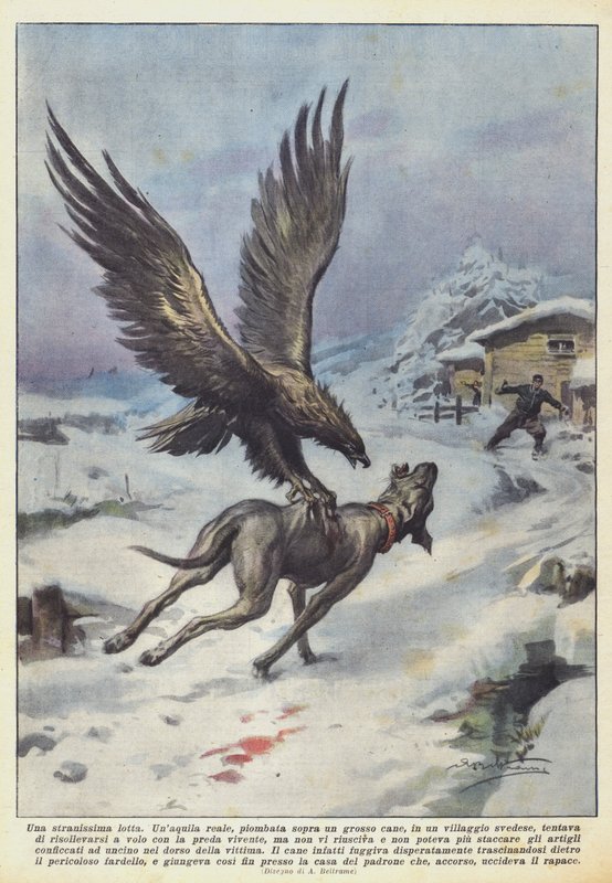 En meget mærkelig kamp af Achille Beltrame