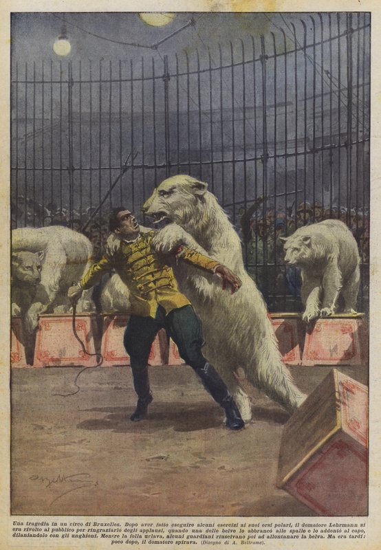 En tragedie i et cirkus i Bruxelles af Achille Beltrame