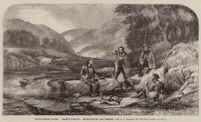 Flodscene, Wales, laksefiskeri, konstatering af vægten af Alexander Rolfe