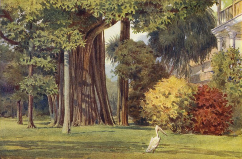 The Queens House, Colombo af Alexander Henry Hallam Murray