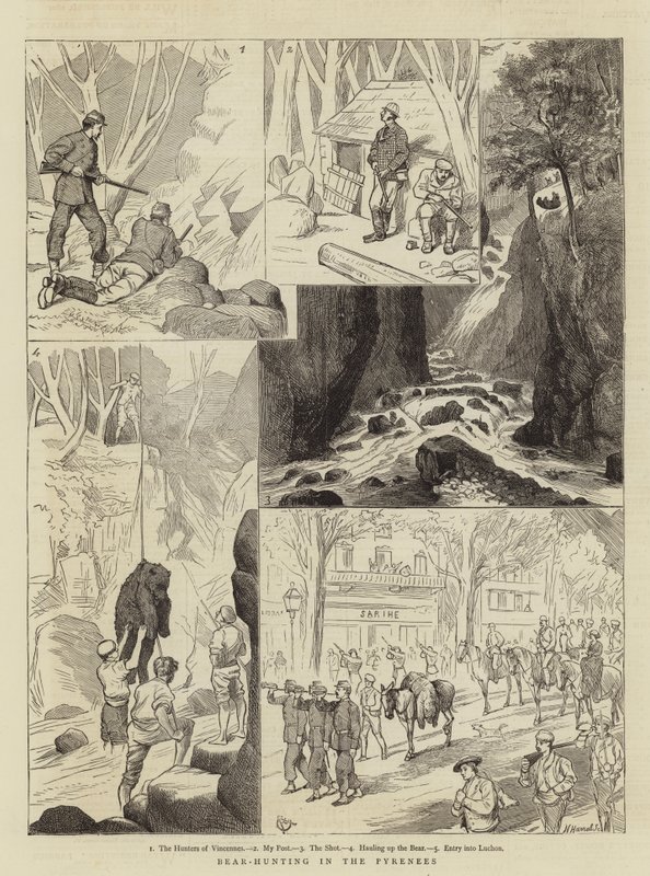Bjørnejagt i Pyrenæerne af Alfred Chantrey Corbould