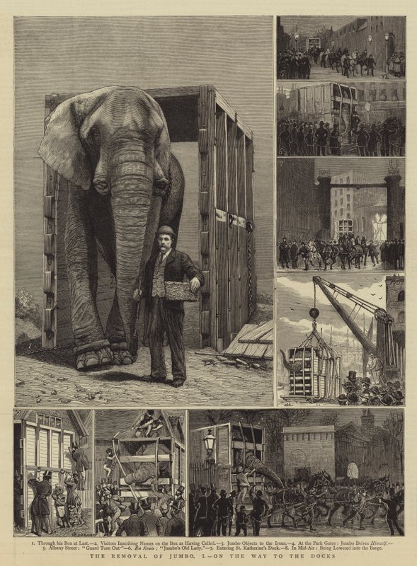 Fjernelsen af Jumbo, I, på vej til havnen af Alfred Chantrey Corbould