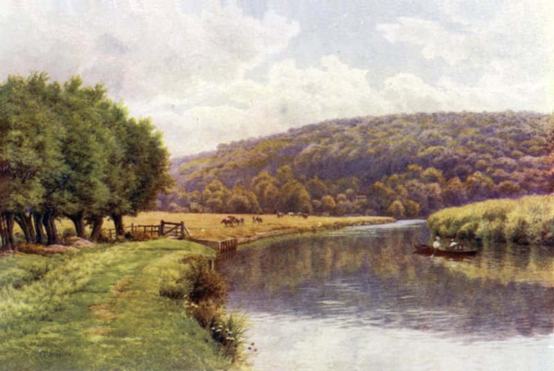Quarry Woods, Marlow af Alfred Robert Quinton