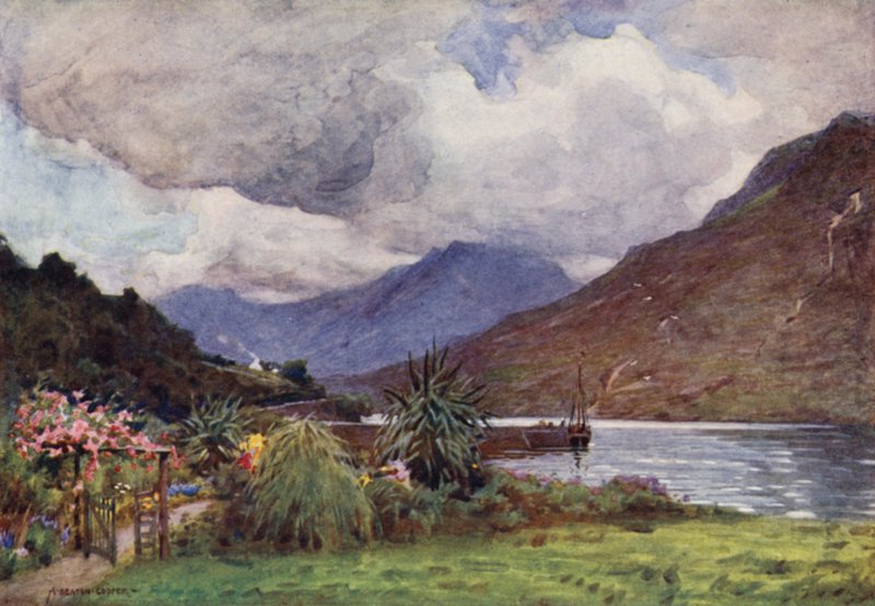 En have i Leenane, Connemara af Alfred Heaton Cooper