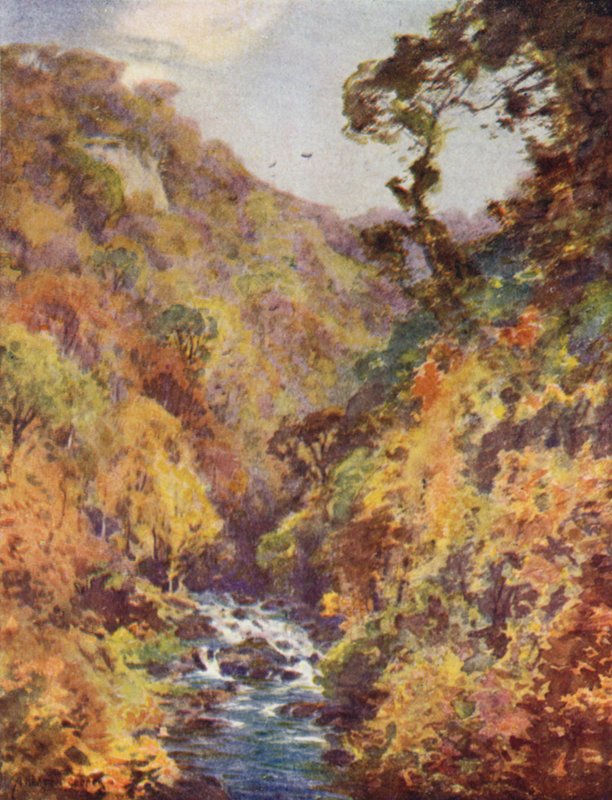 The Dargle, County Wicklow af Alfred Heaton Cooper