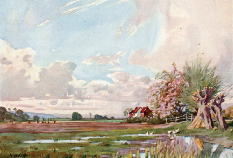 Isle of Athelney (farve litho) af Alfred Heaton Cooper
