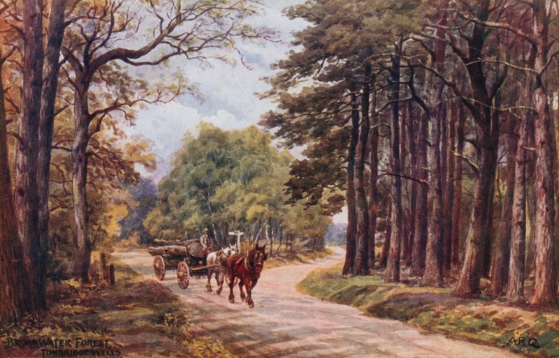 Broadwater Forest, Tunbridge Wells af Alfred Robert Quinton