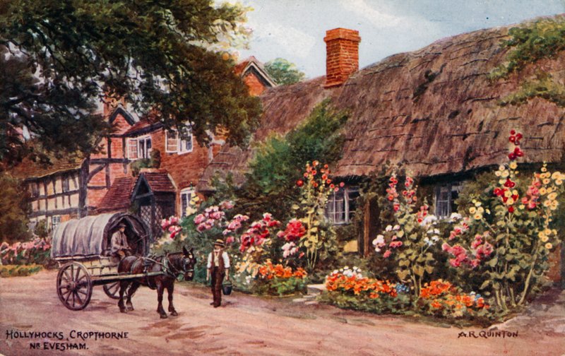 Stokroser, Cropthorne, Evesham af Alfred Robert Quinton