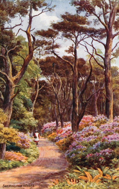 Sheringham Woods af Alfred Robert Quinton