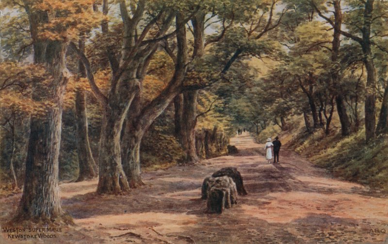 Weston-Super-Mare, Kewstoke Woods af Alfred Robert Quinton