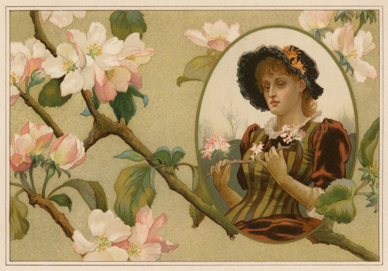 Den indbildske æblegren (chromolitho) af Alice Havers