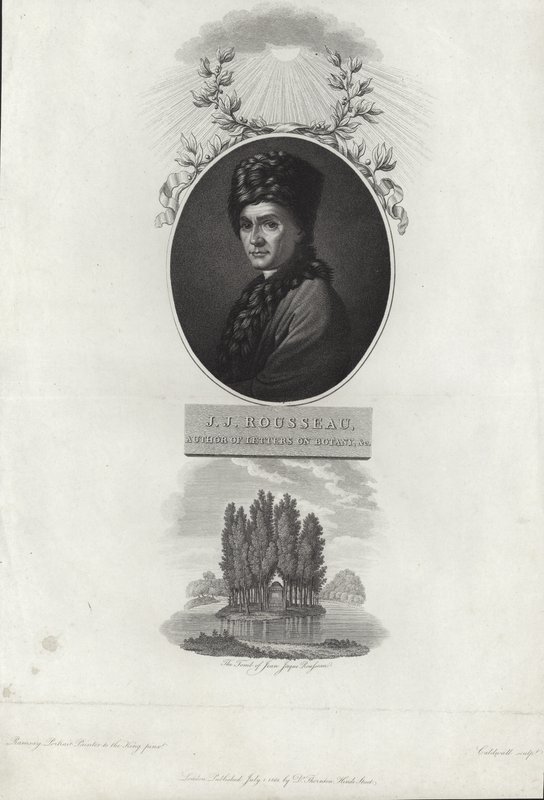 Jean-Jacques Rousseau af Allan Ramsay