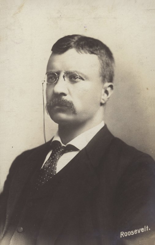 Roosevelt af American Photographer