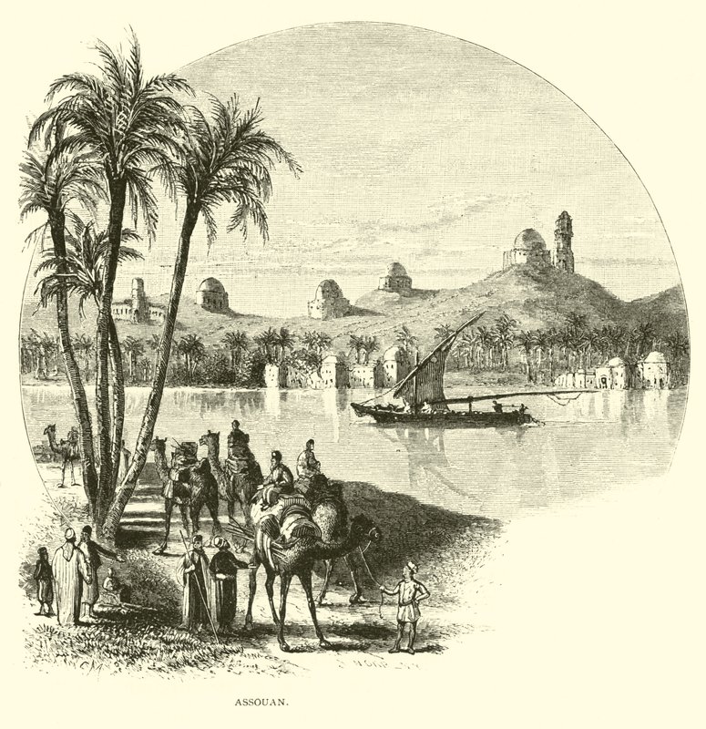 Aswan af American School