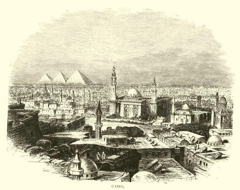 Cairo af American School