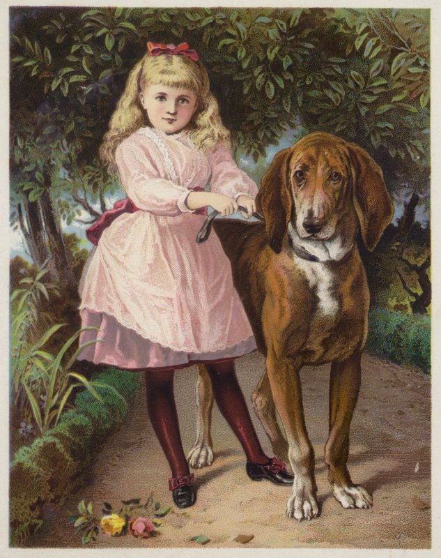 Pige, der holder Bloodhound i snor af American School