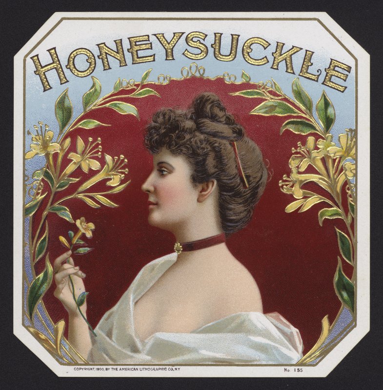 Honeysuckle (chromolitho) af American School