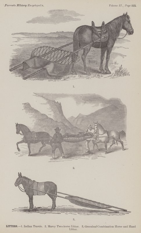 Kuld (gravering) af American School