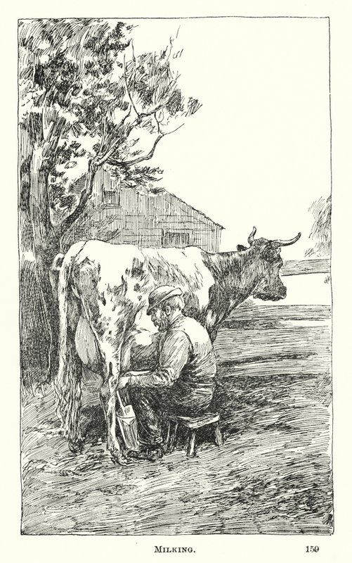 Malkning (gravering) af American School