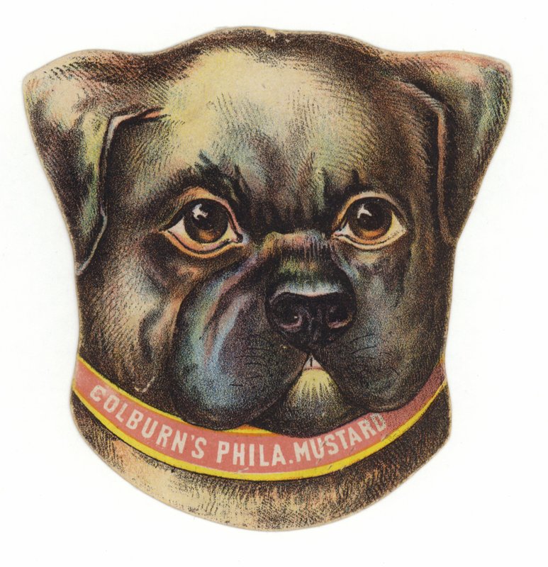 Mops hundehoved af American School