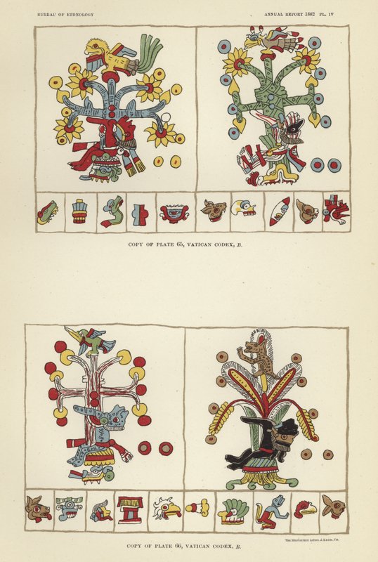 Vatikanets Codex af American School