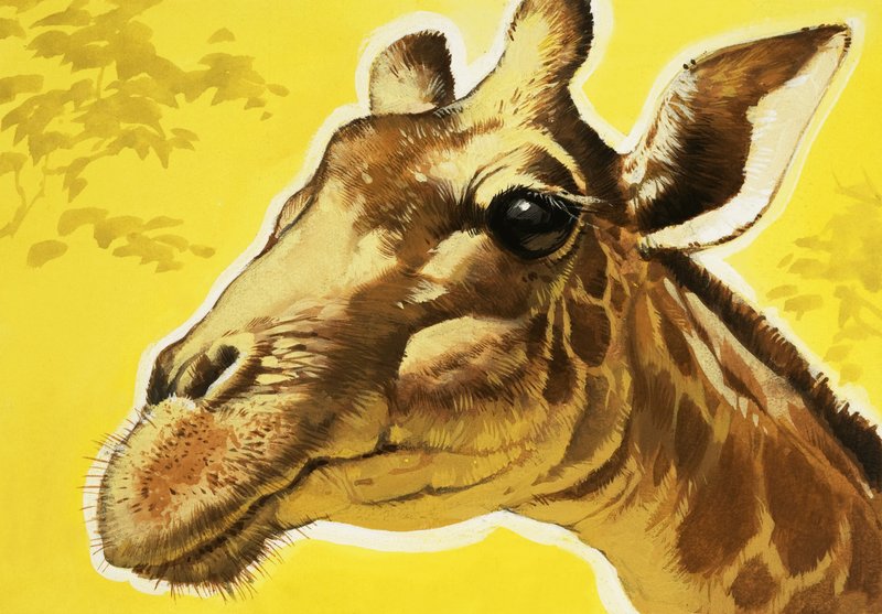 Girafens hoved af Angus McBride