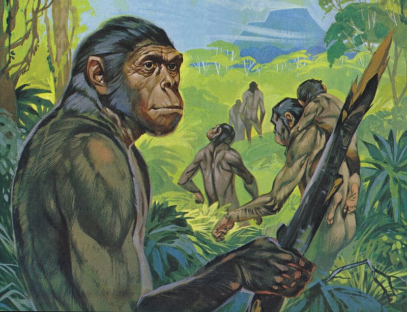 Pithecanthropus (farvelitografi) af Angus McBride