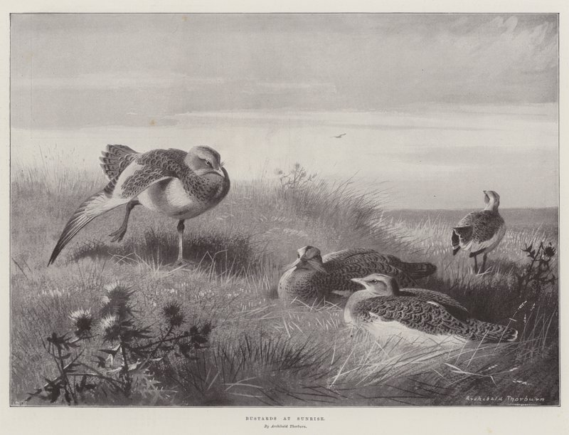 Trapper ved solopgang af Archibald Thorburn