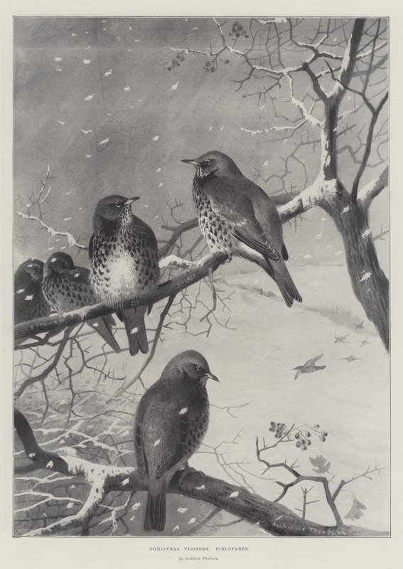 Julegæster, Markfart af Archibald Thorburn