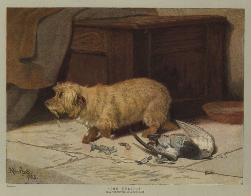 Den skyldige (chromolitho) af Arthur Batt