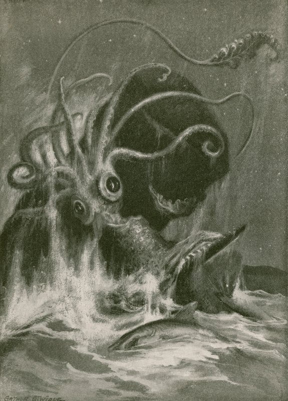 Kraken kontra kaskelothval af Arthur Twidle