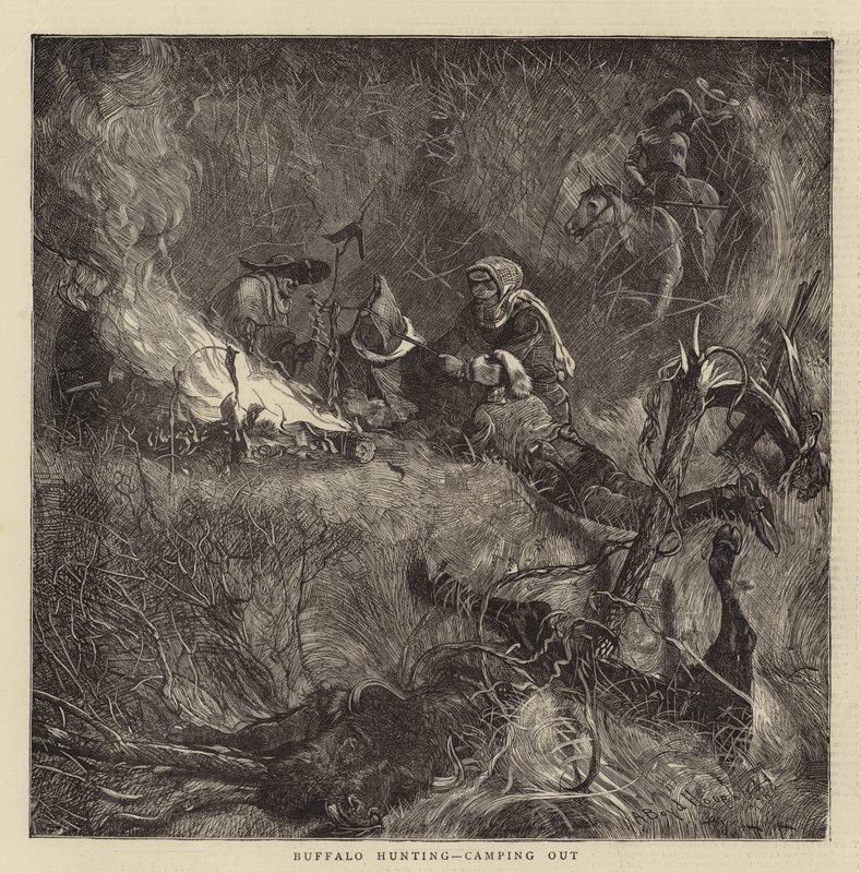 Bøffeljagt, camping ude af Arthur Boyd Houghton