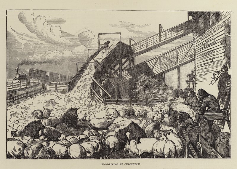 Svinekørsel i Cincinnati af Arthur Boyd Houghton