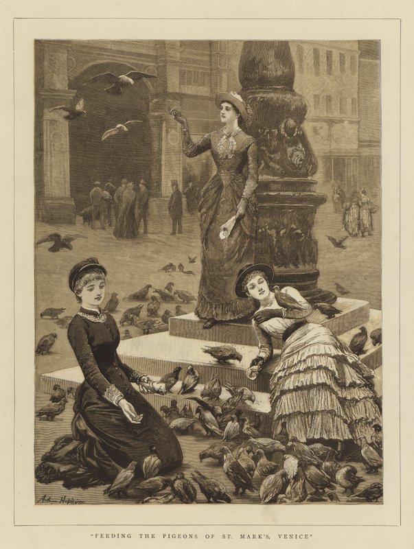 Fodring af Pigeons of St Mark