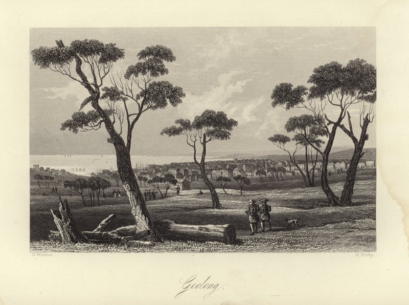Geelong af Australian School