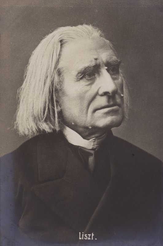 Franz Liszt, ungarsk komponist af Austrian Photographer