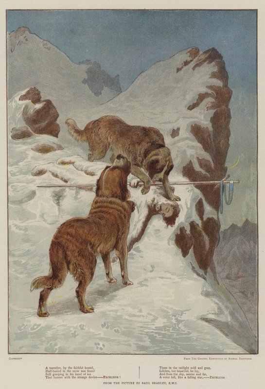 En rejsende, af den trofaste hund (chromolitho) af Basil Bradley