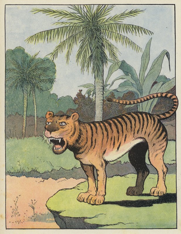 Tiger af Benjamin Rabier