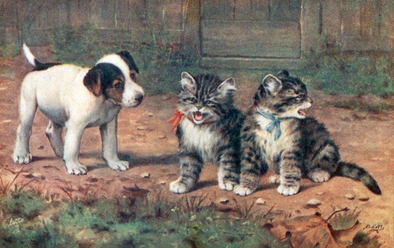 Postkort med kat (farvelitografi) af Bernard Cobbe