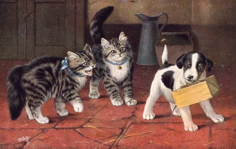 Postkort med kat (farvelitografi) af Bernard Cobbe