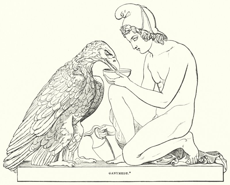 Ganymedes af Bertel after Thorvaldsen