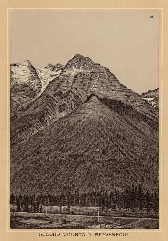Canada: Second Mountain, Beaverfoot (litografi) af Canadian School